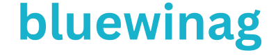 bluewinag.com